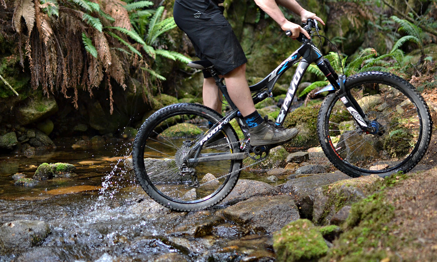 Man ferns, wattle trees and giant gums line the rural trails.