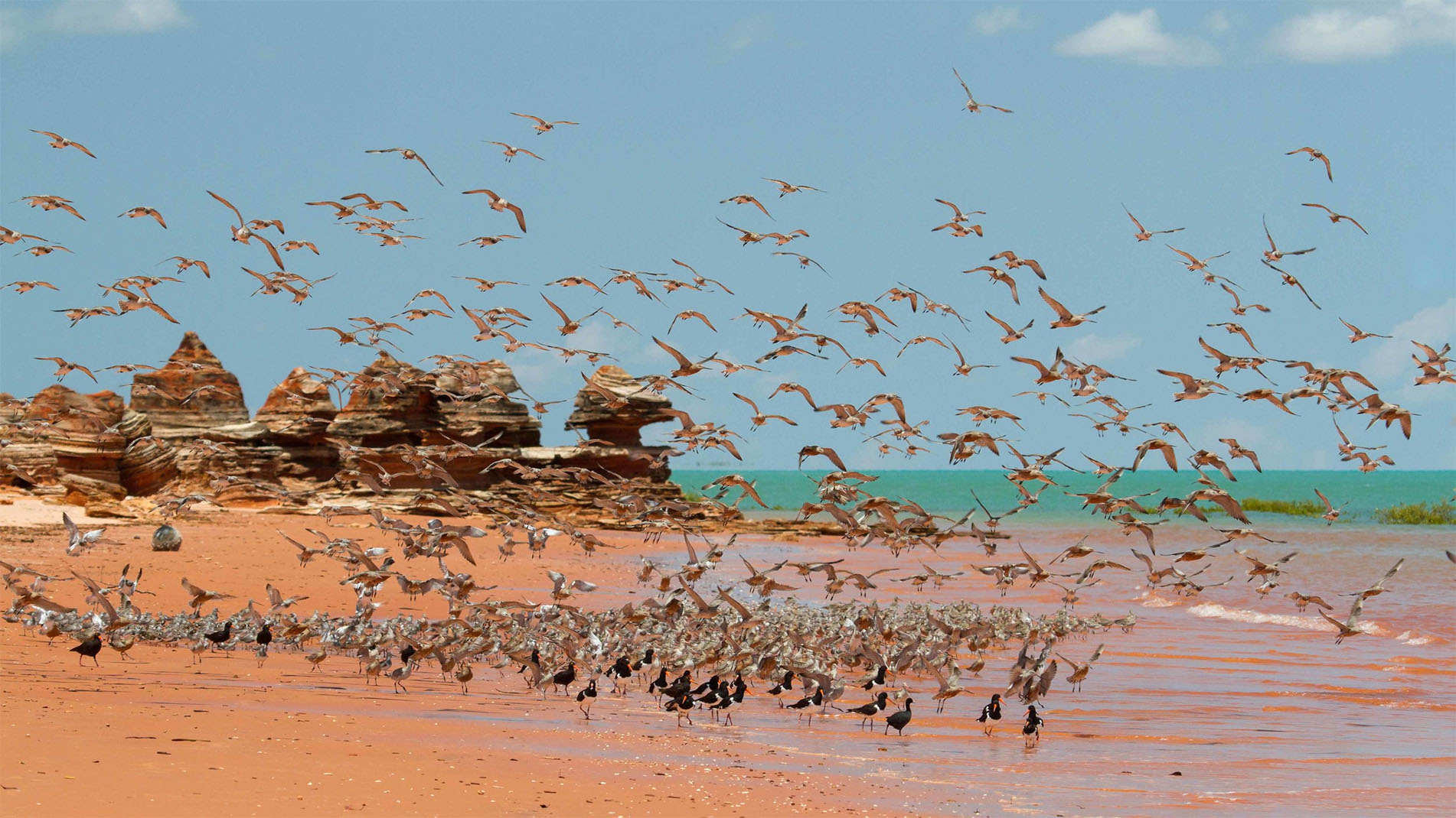 Broome Bird Observatory