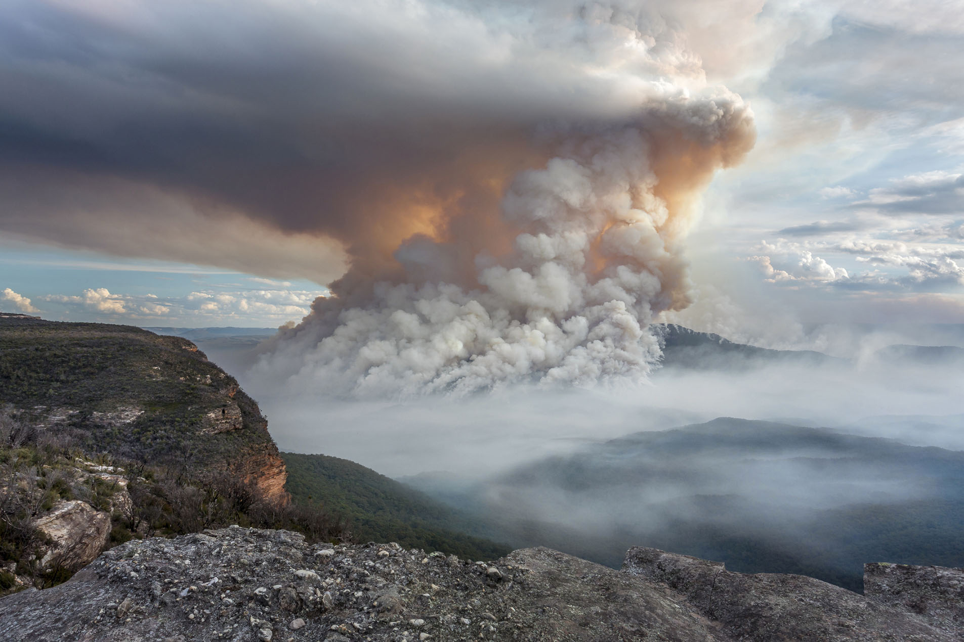 Blue Mountains Bushfire