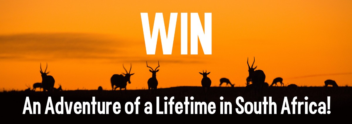 Win a South African Experience of a Lifetime!